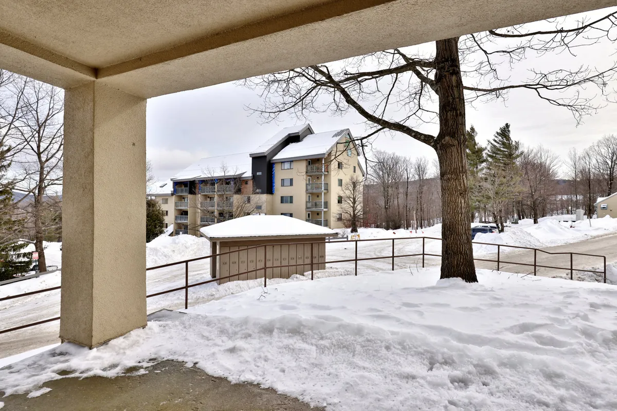 A tranquil, snow-covered outdoor scene featuring a tree with bare branches and a building in the background. The area suggests peaceful winter strolls or moments spent enjoying the scenery.